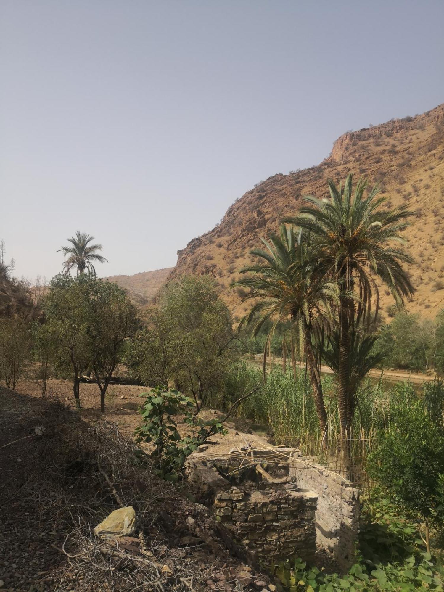 Auberge Kasbah Amoun Taliouine Exteriér fotografie